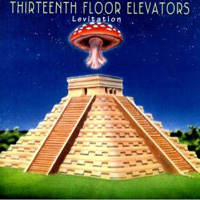 13th Floor Elevators - Levitation (1966)